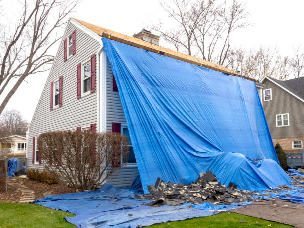 Best Historical Building Siding Restoration  in Tolar, TX